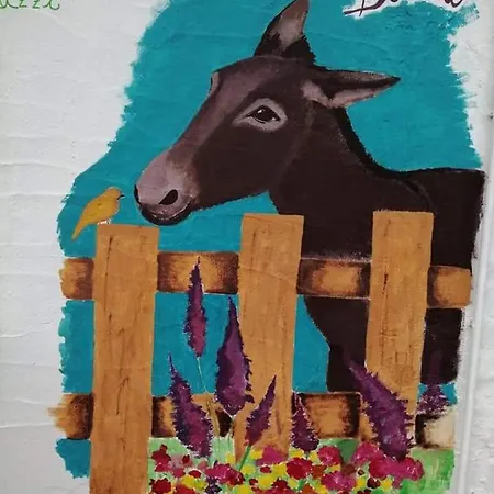 Country house Eucaliptus Farm Retreat Santa Teresa Gallura