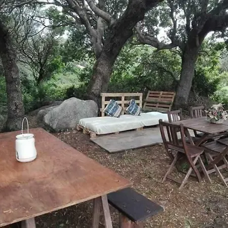 Eucaliptus Farm Retreat 乡村民宿 *