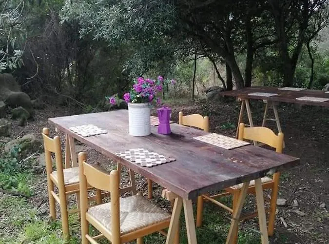 Eucaliptus Farm Retreat