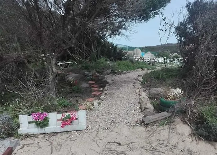 Eucaliptus Farm Retreat Kır Evi Santa Teresa Gallura