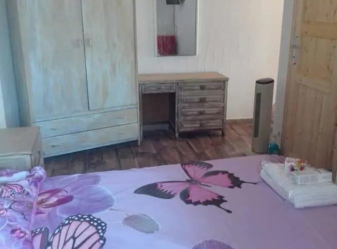 Eucaliptus Farm Retreat Kır Evi *