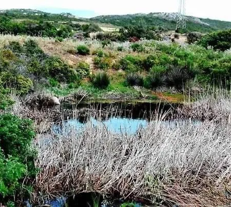 Eucaliptus Farm Retreat Santa Teresa Gallura