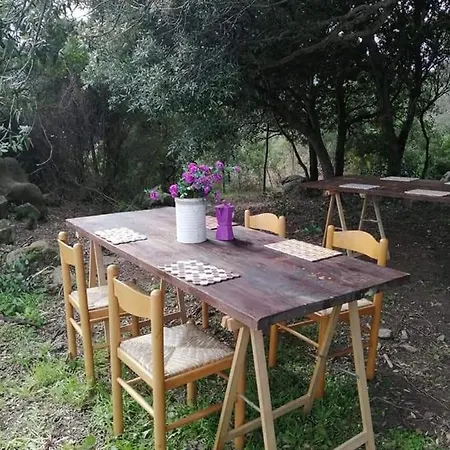 Eucaliptus Farm Retreat
