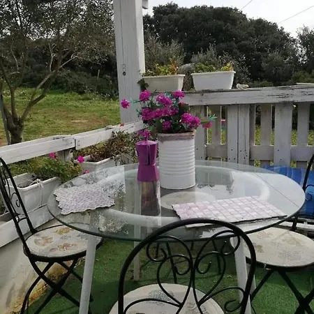 Eucaliptus Farm Retreat *