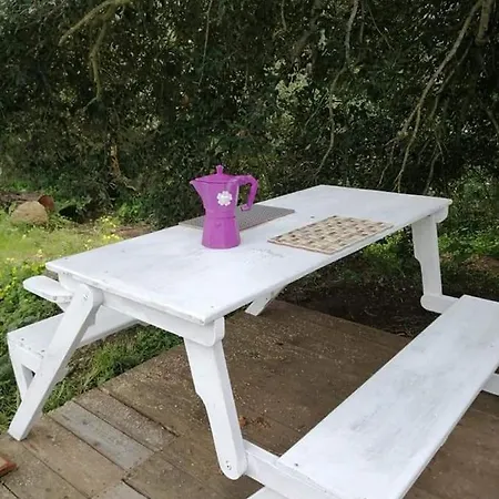 Eucaliptus Farm Retreat *