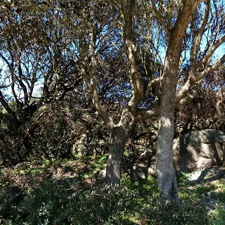 Eucaliptus Farm Retreat Εξοχικό σπίτι *