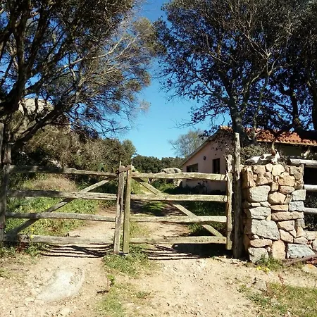 Eucaliptus Farm Retreat * Santa Teresa Gallura