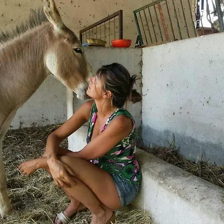 Eucaliptus Farm Retreat Εξοχικό σπίτι Santa Teresa Gallura
