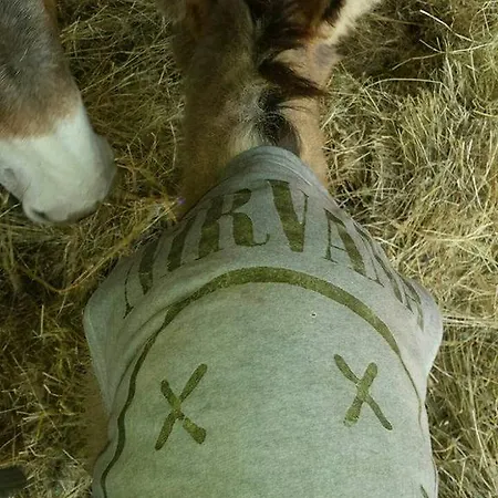 Eucaliptus Farm Retreat Εξοχικό σπίτι