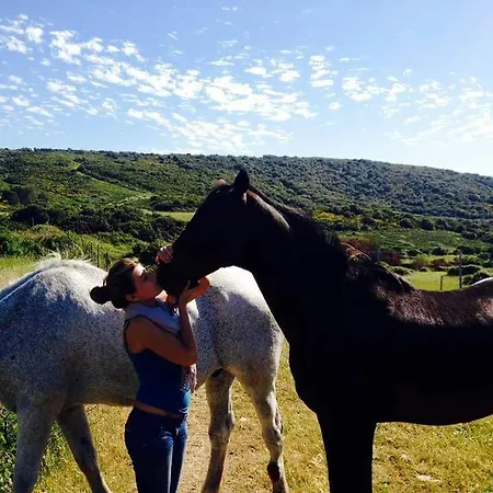 Eucaliptus Farm Retreat Εξοχικό σπίτι Santa Teresa Gallura