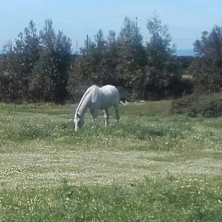 Eucaliptus Farm Retreat Εξοχικό σπίτι