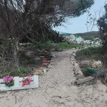 Eucaliptus Farm Retreat Landhaus Santa Teresa Gallura
