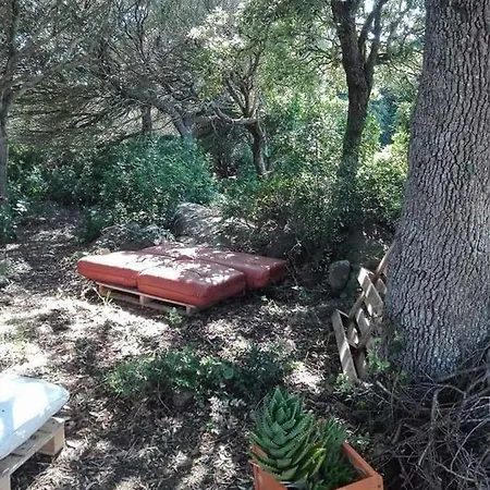 Landhaus Eucaliptus Farm Retreat Santa Teresa Gallura