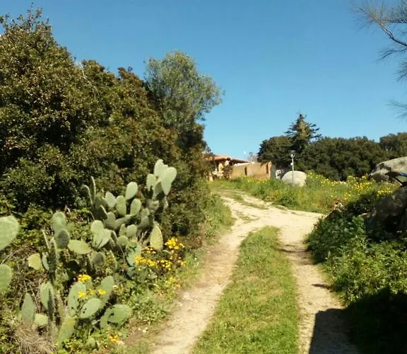 Eucaliptus Farm Retreat Landhaus *