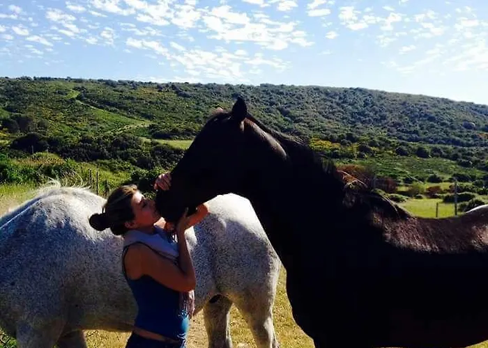 Eucaliptus Farm Retreat Venkovský dům Santa Teresa Gallura